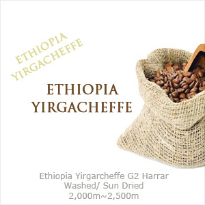 에티오피아 예가체프 1kg